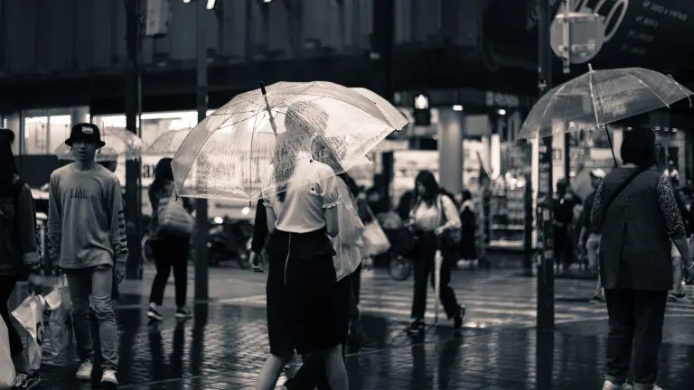 umbrella Rainfall Photography